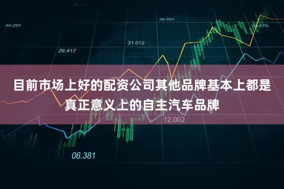 目前市场上好的配资公司其他品牌基本上都是真正意义上的自主汽车品牌