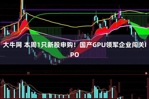 大牛网 本周1只新股申购！国产GPU领军企业闯关IPO