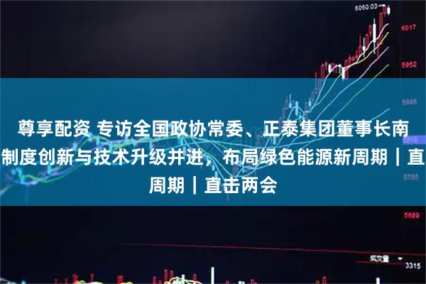尊享配资 专访全国政协常委、正泰集团董事长南存辉：制度创新与技术升级并进，布局绿色能源新周期｜直击两会