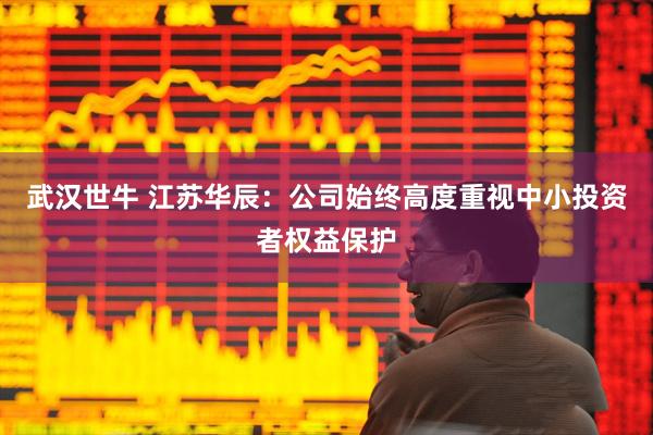 武汉世牛 江苏华辰：公司始终高度重视中小投资者权益保护