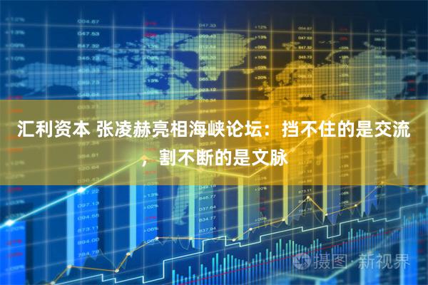 汇利资本 张凌赫亮相海峡论坛：挡不住的是交流，割不断的是文脉